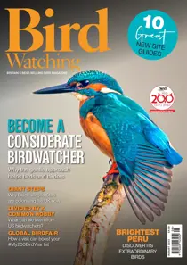 Aug-23 
                issue Aug-23