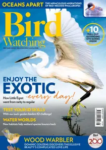 August 2019 
                issue August 2019
