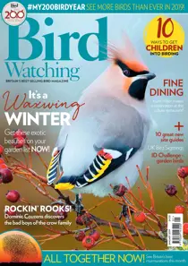 January 2019 
                issue January 2019