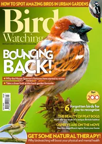 Jul 20 
                issue Jul 20