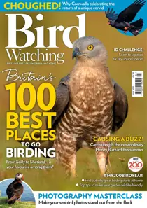 July 2021 
                issue July 2021