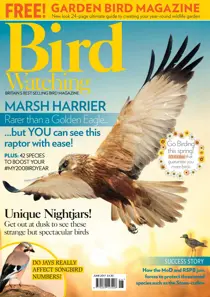 June 2017 
                issue June 2017
