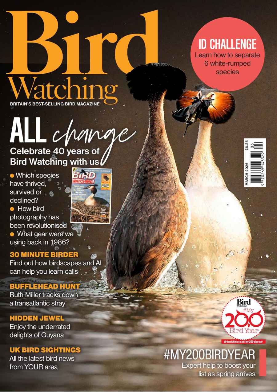 Bird Watching issue Mar-26