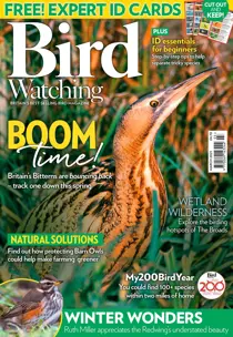 March 2021 
                issue March 2021