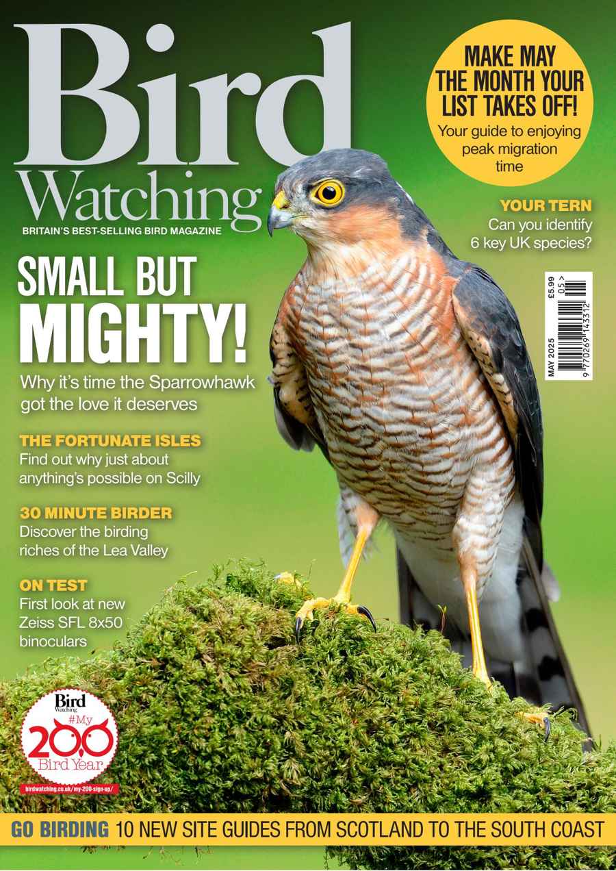 Bird Watching issue May-25