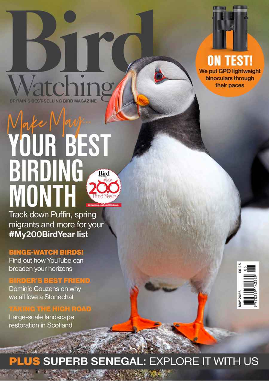 Bird Watching issue May-26