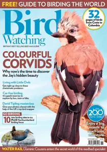 November 2017 
                issue November 2017