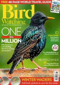 November 2019 
                issue November 2019