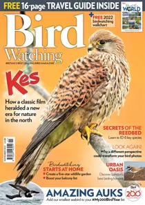 November 2021 
                issue November 2021