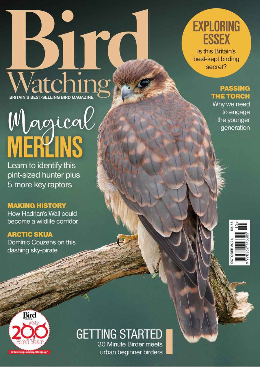 Bird Watching issue Oct-24