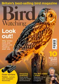 Bird Watching issue Oct-26
