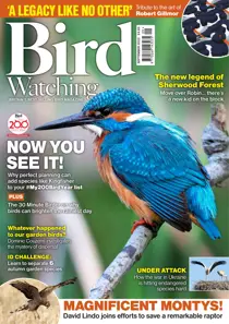 Bird Watching 
                issue FREE Sample Issue