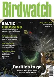 April 2007 
                issue April 2007