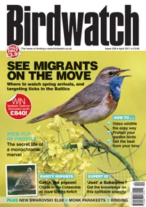 April 2011 
                issue April 2011