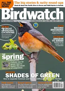 April 2017 
                issue April 2017