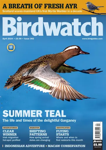 Birdwatch Magazine Preview