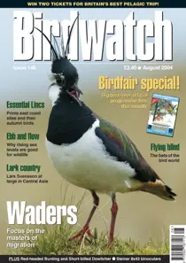 August 2004 
                issue August 2004