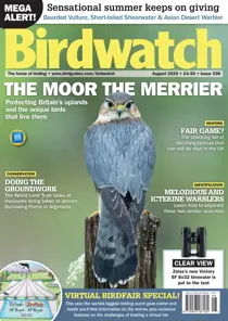 August 2020 – VIRTUAL BIRDFAIR SPECIAL 
                issue August 2020 – VIRTUAL BIRDFAIR SPECIAL