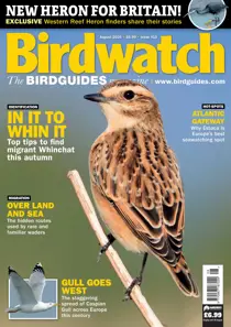 Birdwatch Magazine issue August 2026