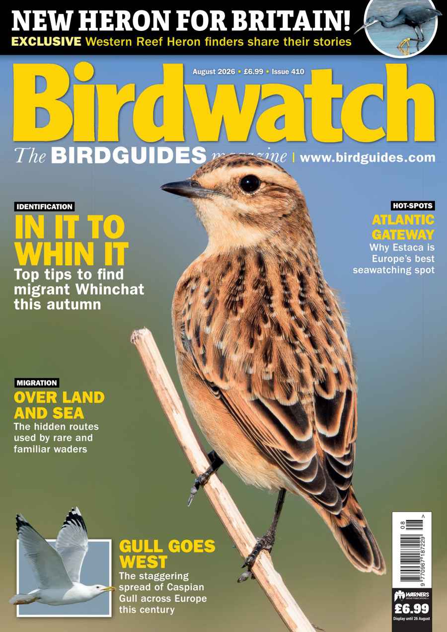 BIRDWATCH