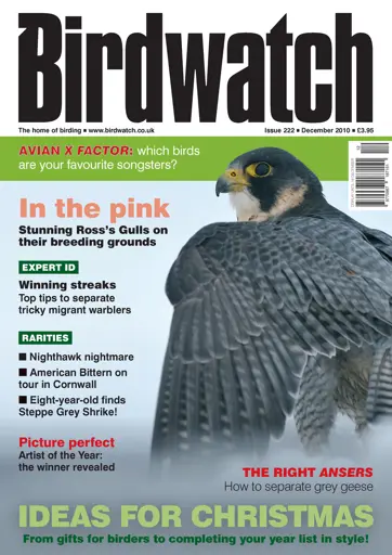 Birdwatch Magazine Preview