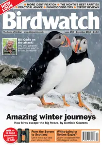 December 2013 - Re-launch issue 
                issue December 2013 - Re-launch issue