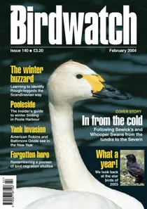 February 2004 
                issue February 2004