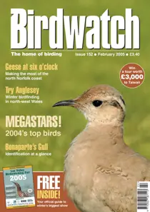 February 2005 
                issue February 2005