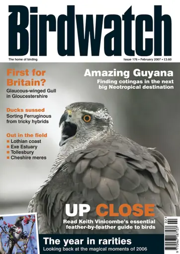 Birdwatch Magazine Preview