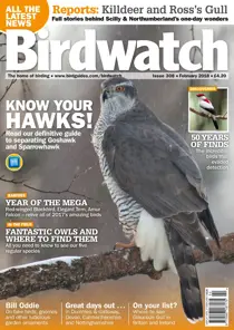 February 2018 
                issue February 2018