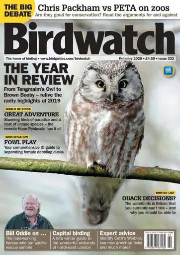 Birdwatch Magazine Preview