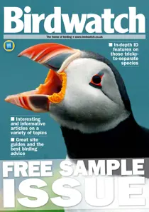 FREE SAMPLE ISSUE 
                issue FREE SAMPLE ISSUE