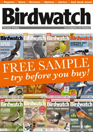 Birdwatch Magazine Preview