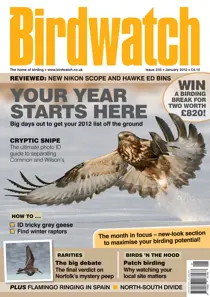 January 2012 
                issue January 2012