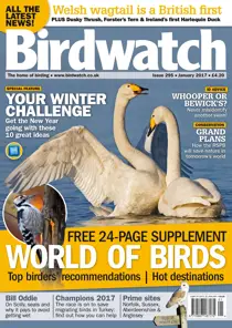 January 2017 
                issue January 2017