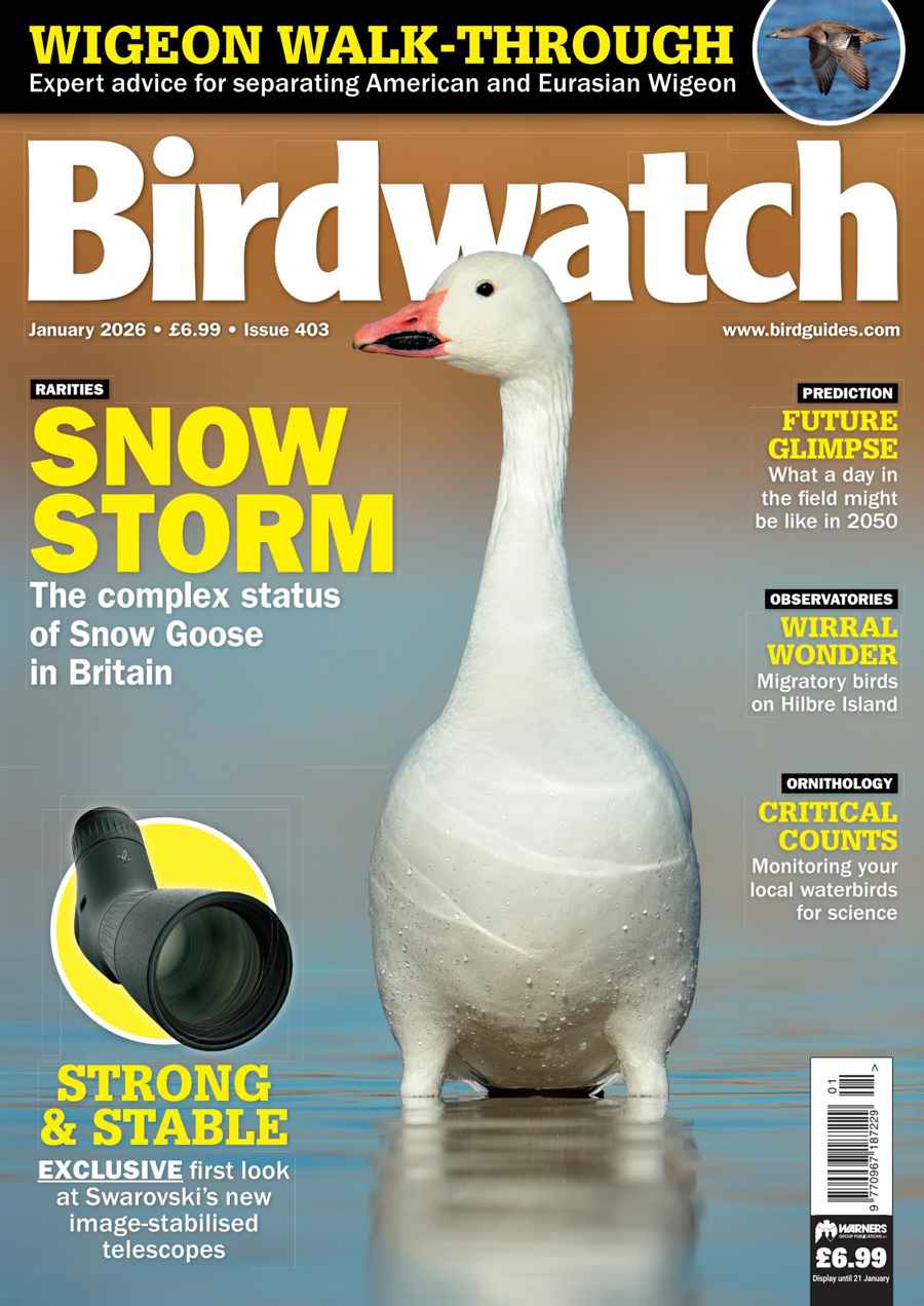 Birdwatch Magazine issue January 2026