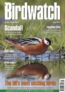 July 2004 
                issue July 2004