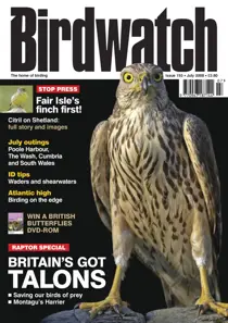 July 2008 
                issue July 2008