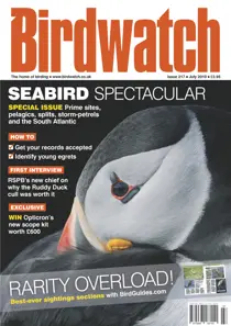 July 2010 
                issue July 2010