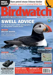 July 2020 
                issue July 2020