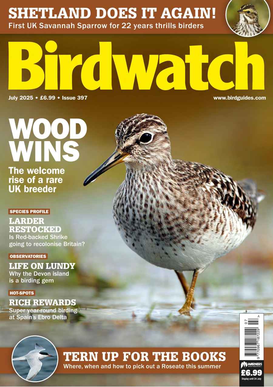 BIRDWATCH
