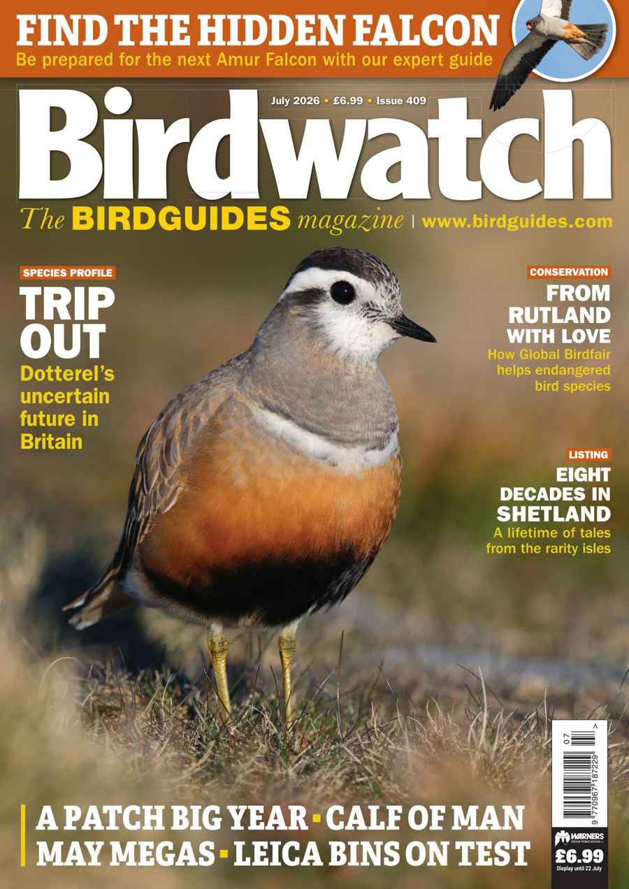 Birdwatch Magazine issue July 2026