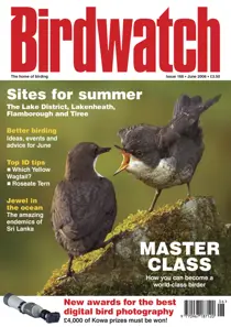 June 2006 
                issue June 2006
