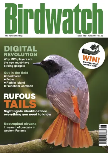 Birdwatch Magazine Preview