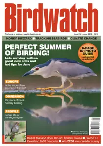 June 2013 
                issue June 2013