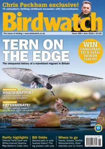 June 2016 
                issue June 2016