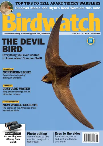 Birdwatch Magazine Preview