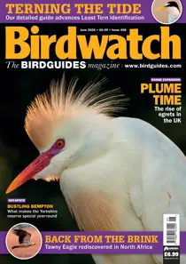 Birdwatch Magazine 
                issue June 2026