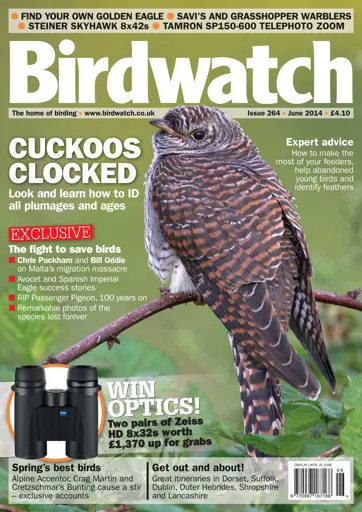 Birdwatch Magazine Preview