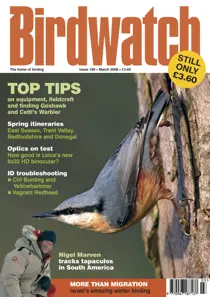 March 2008 
                issue March 2008